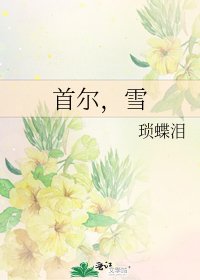 首尔,雪