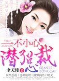 一不小心潛了總裁